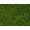 Hierba silvestre de Pradera, Verde claro, Fibra de hierba de 6 mm, Bote de 100 gr, Marca Noch, Ref: 07092.