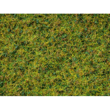Mezcla de hierbas, pradera de ganado, 50 gramos, 2.5 - 6 mm. Marca Noch, Ref: 07073.