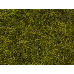 Hierbas silvestres, Verde oscuro, 50 gramos, 6 mm. Marca Noch, Ref: 07106.
