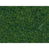 Hierbas silvestres XL, Verde claro, 40 gramos, 12 mm. Marca Noch, Ref: 07112.