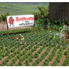 Plantación de fresas ya maduras, Escala H0. Marca Busch, Ref: 1265.