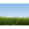 Prado de hierba salvaje, 6 mm, 100 gramos. Marca Noch, Ref: 07090.