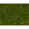 Hierbas silvestres XL, Verde Mayo, 40 gramos, 12 mm. Marca Noch, Ref: 07114.