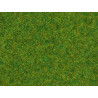Cesped electrostatico hierba de cesped, Bolsa de 20 gramos, 1,5 mm. Marca Noch, Ref: 08214.