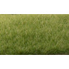 Césped Electrostático de 4 mm Verde medio, Static Grass. Marca Woodland Scenics, Ref: FS618.