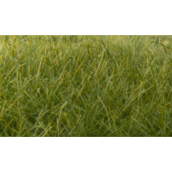 Césped Electrostático de 12 mm Verde oscuro, Static Grass. Marca Woodland Scenics, Ref: FS625.