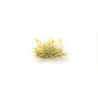 Mechones de Flores Amarillas, 21 unidades. Marca Woodland Scenics, Ref: FS774.