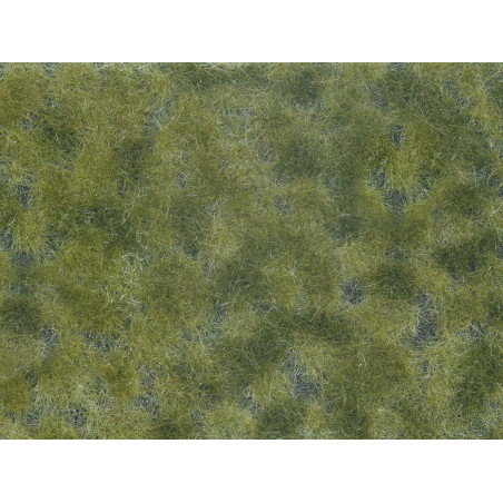 Vegetación tapizante, Follaje verde Medio, 12 x 18 cm. Marca Noch, Ref: 07250.