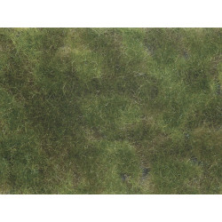 Vegetación tapizante, Follaje verde Oliva, 12 x 18 cm. Marca Noch, Ref: 07251.