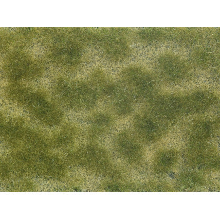 Vegetación tapizante, Follaje verde Beige, 12 x 18 cm. Marca Noch, Ref: 07253.