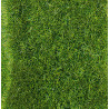 Hierba salvaje, verde oscuro, 5 a 6 mm, 280 x 140 mm, Todas las escalas. Marca Heki, Ref: 1577.