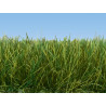 Hierba silvestre, Beige, Fibra de hierba de 12 mm, Bote de 80 gr. Marca Noch, Ref: 07096.