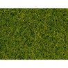 Hierba silvestre de Pradera, Verde claro, Fibra de hierba de 12 mm, Bote de 80 gr. Marca Noch, Ref: 07097.