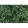 Liquen natural, musgo verde claro, Ref: L162