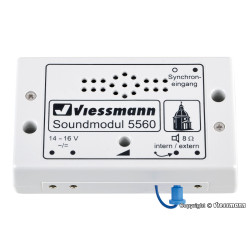 Viessmann 5560