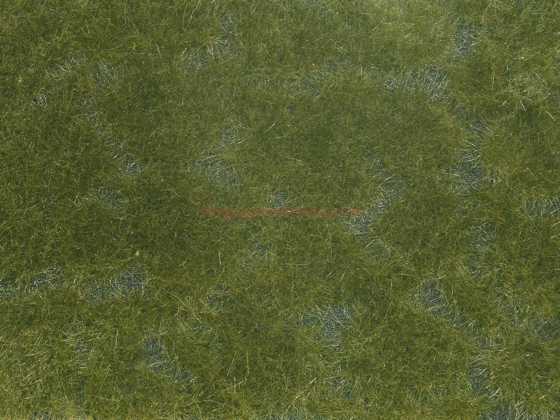 Noch – Vegetación tapizante, Follaje verde Oscuro, 12 x 18 cm, Ref: 07252.