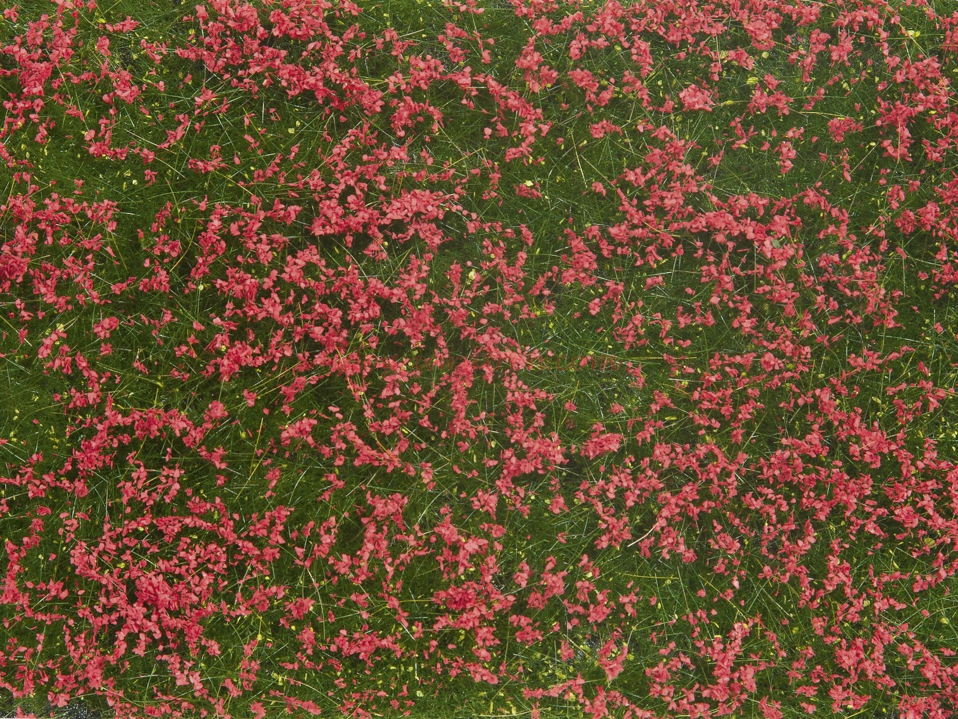Noch – Vegetación tapizante, Follaje Prado Rojo, 12 x 18 cm, Ref: 07257.