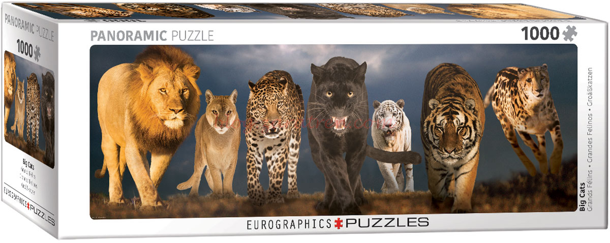 Eurographics – Big Cats,1000 Piezas, Ref: 6010-0297.