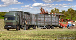 Kibri - Camión de Transporte de ganado con remolque y vacas, Kit para montar, Escala H0, Ref: 12248