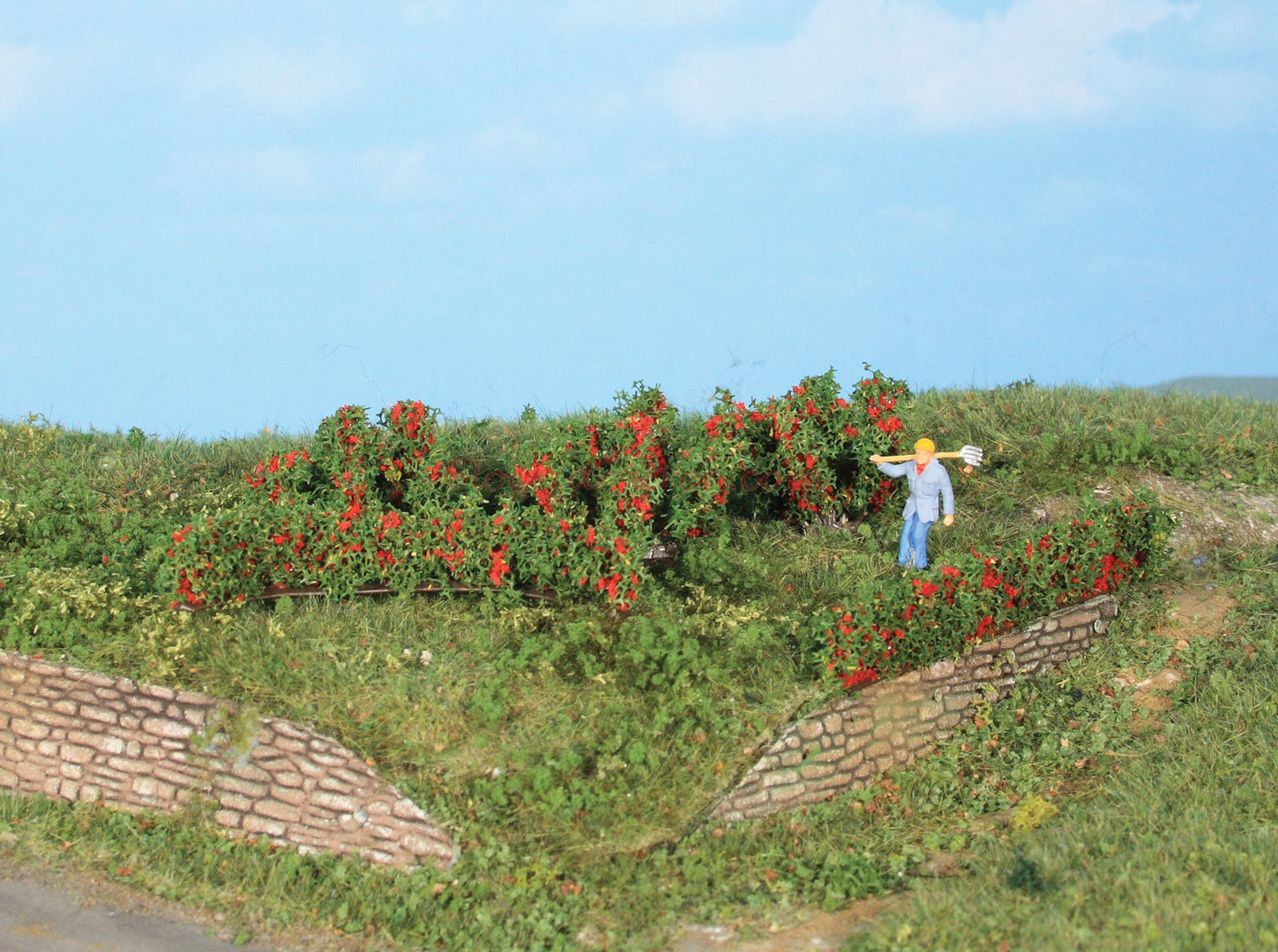 Heki – Surtido de 10 Setos y arbustos de rosales, de 7 a 30 mm, Ref: 190125.