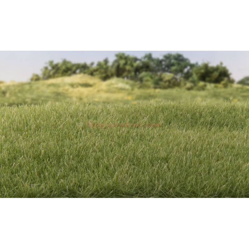 Woodland Scenic – Hierba Estática, Verde Medio, Largura 7 mm, «AllGameTerrain», Valido para todas las escalas, Ref: G6584