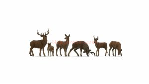 Noch - Conjunto de cinco ciervos y un cervatillo, 6 Figuras, Escala Z, Ref: 44541