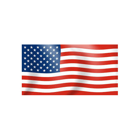 Ejército Estadounidense