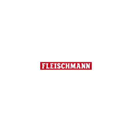 Fleischmann Piccolo ( Con Balasto ).